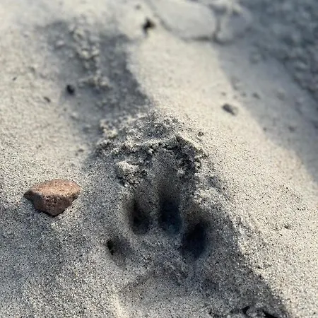 Sunrise Podczele Appartamento